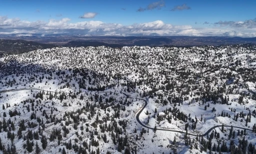 Mersin&rsquo;de karla kaplanan ormanlık alandan kartpotallık g&ouml;r&uuml;nt&uuml;ler
