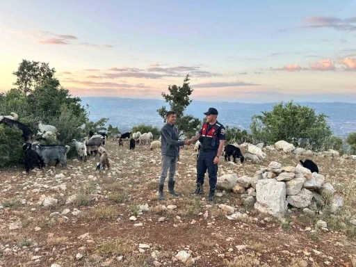 Mersin&rsquo;de kayıp 40 k&uuml;&ccedil;&uuml;kbaş dronla bulundu
