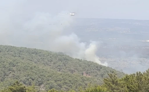 Mersin’de kaynak yaparken orman yangınına neden olan firma sahibi ile 4 kişi tutuklandı
