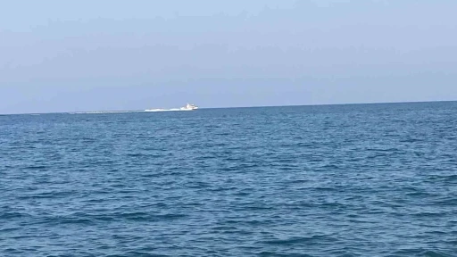 Mersin’de köpekbalığı tedirginliği
