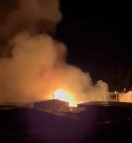 Mersin&rsquo;de sazlık alandaki yangın s&ouml;nd&uuml;r&uuml;ld&uuml;: Bir sera zarar g&ouml;rd&uuml;
