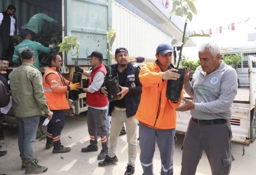 Mersin&rsquo;de &uuml;reticiye avokado fidanı ve destek dağıtımı
