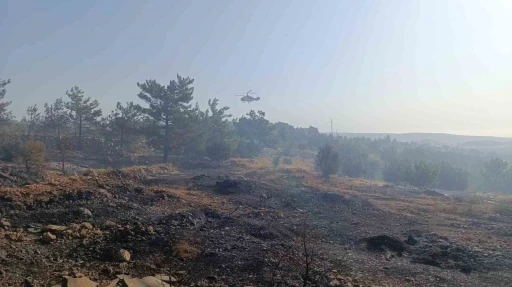 Mersin’deki orman yangını: Havadan müdahale başladı
