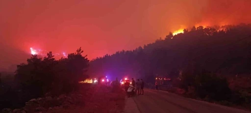 Mersin’deki orman yangınına müdahale sürüyor
