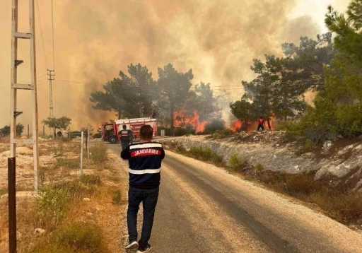 Mersin’deki orman yangınında jandarma ekipleri aktif rol aldı
