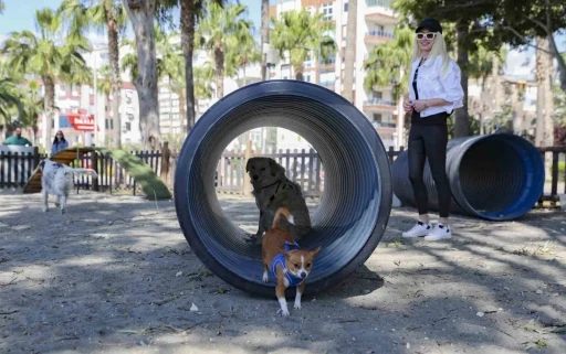 Mersin’den patili dostlara özel oyun parkı
