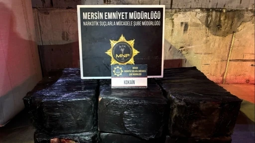 Mersin Limanı&rsquo;ndaki 298 kilo kokainle ilgili 2 ş&uuml;pheli g&ouml;zaltına alındı
