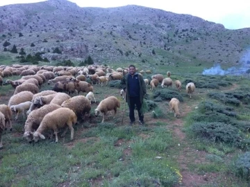 Mesaide müdür, tatilde çoban
