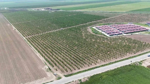 Mesaileri başlayan tarım iş&ccedil;ileri, Amik Ovası&rsquo;nda bin 100 TL yevmiye alacak
