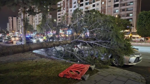 Meteoroloji&rsquo;den &rsquo;kuvvetli r&uuml;zgar&rsquo; ve &rsquo;fırtına&rsquo; uyarısı
