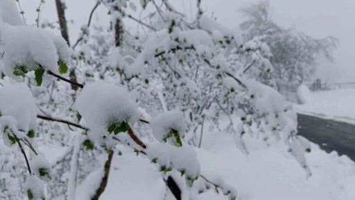 Meteorolojiden Ordu için ’sarı kodlu’ uyarı
