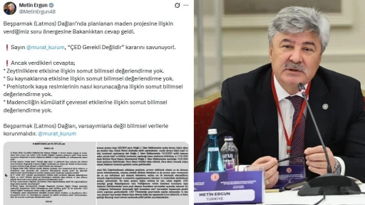 Metin Ergun'dan Bakanlığın Latmos Yanıtına Tepki