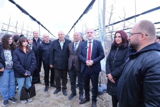 Meyve ağa&ccedil;larında doğru budama y&ouml;ntemleri &ouml;ğretildi
