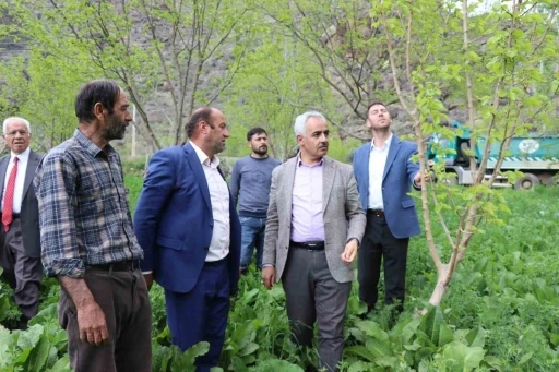 ’Meyve deposu’ Ayvalı Mahallesi’nde don meyve ağaçlarına zarar verdi
