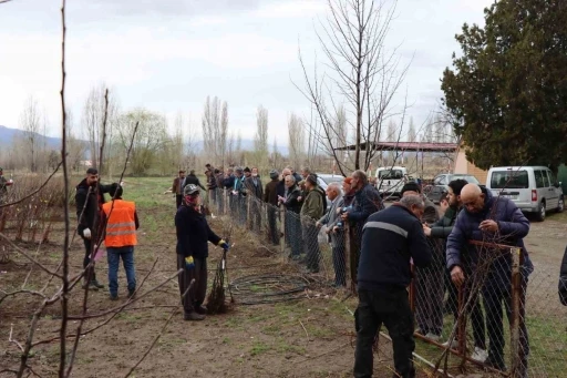 Meyve fidanı satışı 30 Mart&rsquo;ta yapılacak
