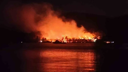 Milas’ta orman yangını
