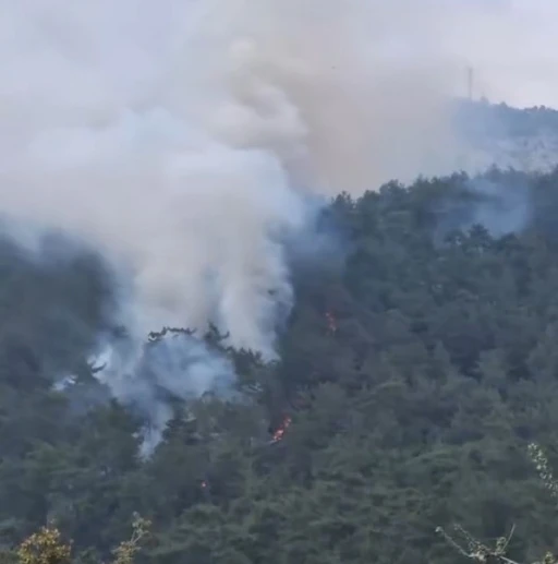 Milas'ta Orman Yangını Devam Ediyor