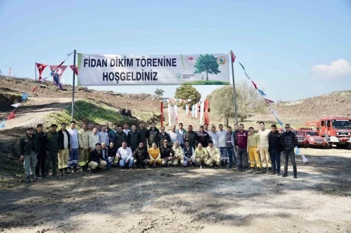 Milas&rsquo;ta yanan sahalar fidanlarla canlanıyor
