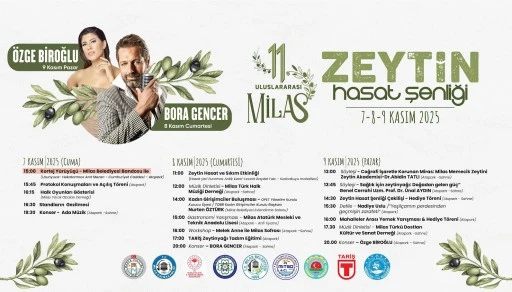 Milas’ta Zeytin Hasadı Şenliği Başlıyor