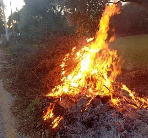 Milas’taki orman yangınları büyümeden söndürüldü
