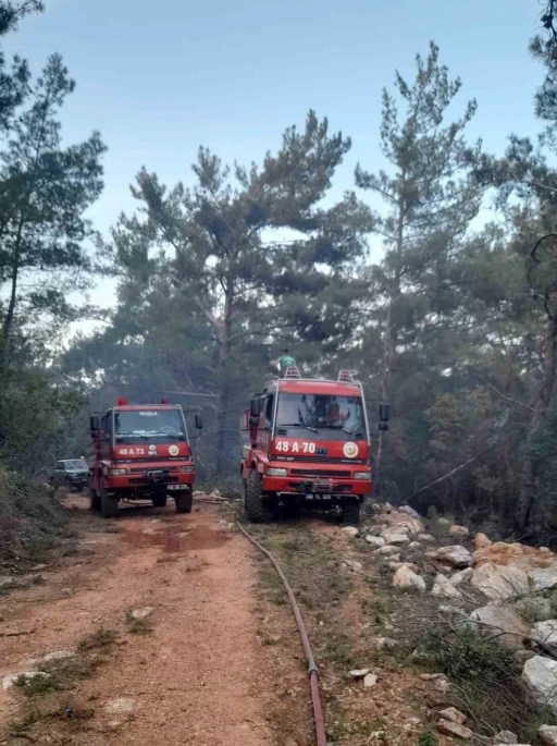 Milas'ta Orman Yangını Kontrol Altına Alındı