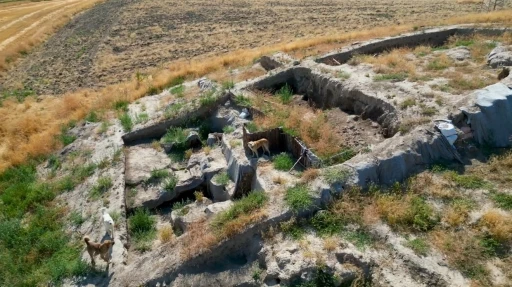 Milattan &Ouml;nce 2000&rsquo;li yıllara ait kazı alanı sokak k&ouml;peklerinin meskeni haline geldi
