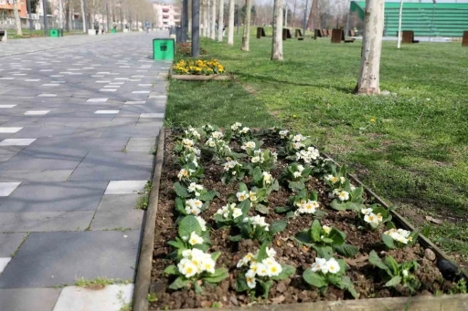 Millet Bahçesi yaz sezonuna hazırlanıyor
