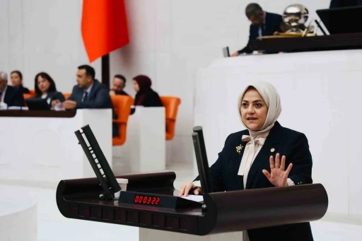 Milletvekili Ün; &quot;İklim kanunu çiftçiye, besiciye darbe vuracak&quot;
