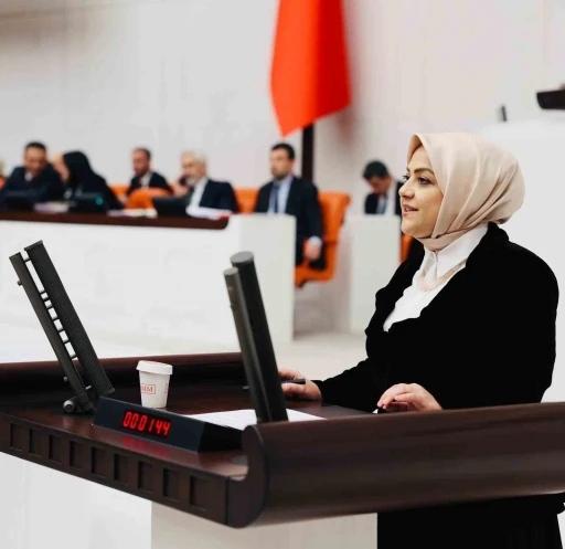 Milletvekili Ün; &quot;İklim Yasasına hayır diyorum&quot;
