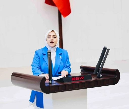 Milletvekili Ün; &quot;Vahşi madencilik kar dışında hiçbir değeri tanımıyor&quot;
