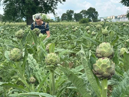 Milyonlarca liralık konutların arasında tarımsal &uuml;retim m&uuml;cadelesi
