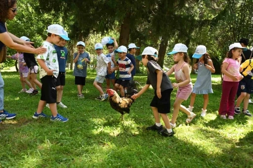 Minik eller Denizli Horozu üretimini öğrendi
