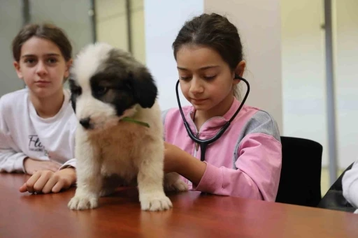 Minik veterinerler görev başında
