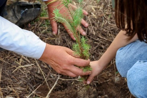 MİNİKLER BODRUM'U YEŞİLLENDİRİYOR