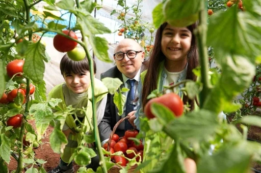 Minikler ’Çocuk Serası’nda yetiştirdikleri ürünleri hasat etti
