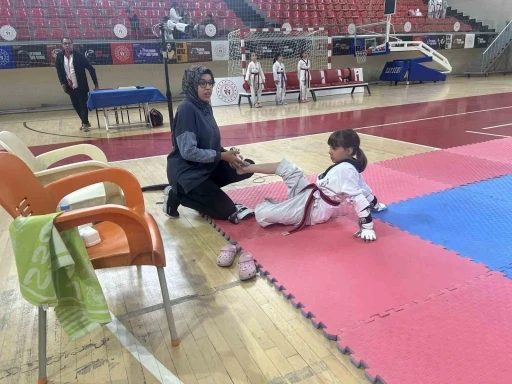 Minikler Taekwondo İl M&uuml;sabakaları yapıldı
