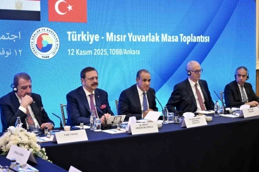 Mısır Dışişleri Bakanı Abdulati: &quot;Türkiye-Mısır arasındaki ticaret ve yatırımları artırmak istiyoruz&quot;
