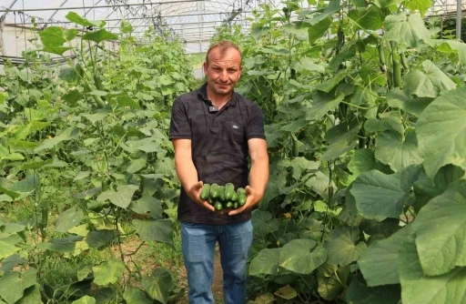 Sera Desteği Çiftçilerin Yüzünü Güldürdü