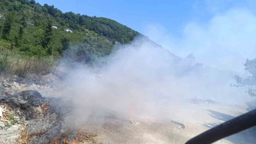 Mollabey yolunda &ccedil;&ouml;pl&uuml;k yangını paniğe neden oldu
