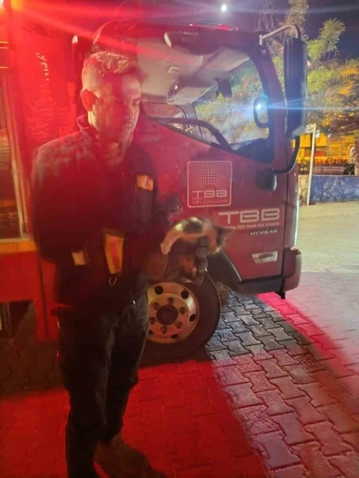 Motor kısmına sıkışan kedi i&ccedil;in seferber oldular
