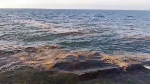 Mudanya sahilinde görülen müsilaj tedirgin etti
