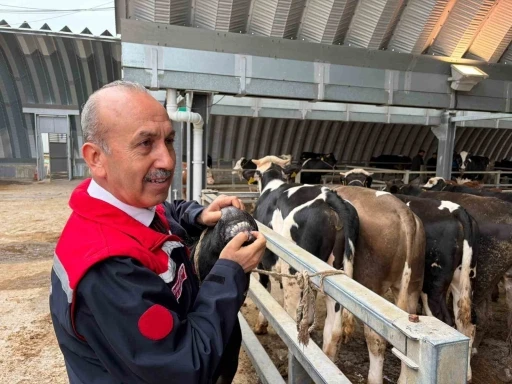 M&uuml;d&uuml;r D&uuml;zg&uuml;n: "256 kesim yeri i&ccedil;in onay verildi"
