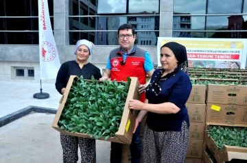 Muğla bu projeyle &quot;enginar üssü&quot; olacak
