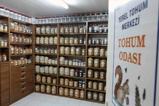 Muğla B&uuml;y&uuml;kşehir 2026 yılında 3 milyon ata tohumu dağıtacak
