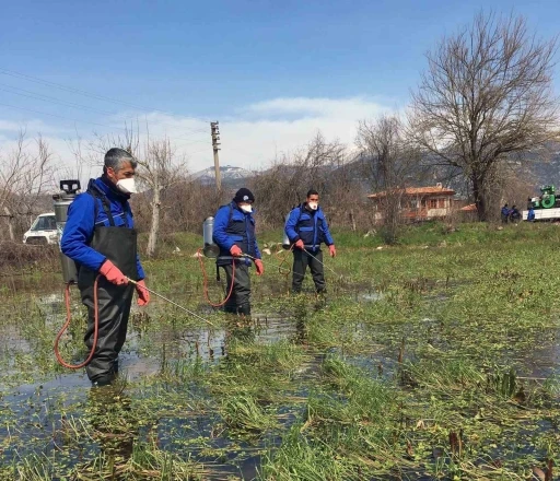 Muğla Büyükşehir’den vektörle mücadele
