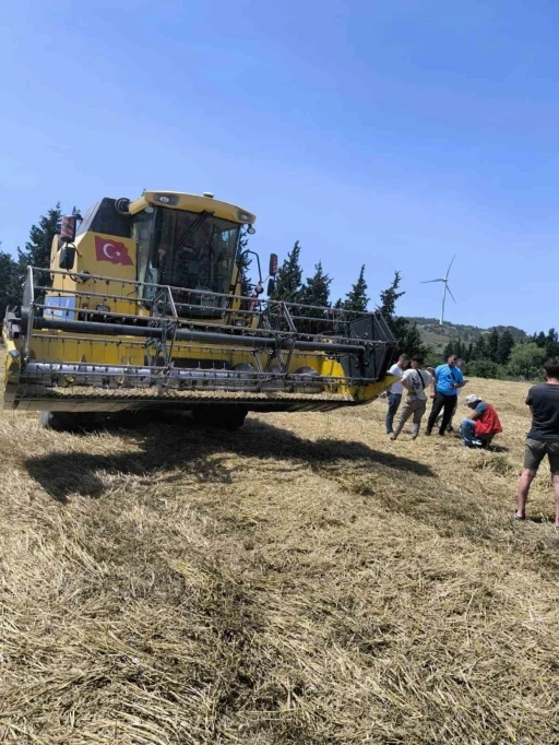 Muğla'da Hububat Hasadı Başladı