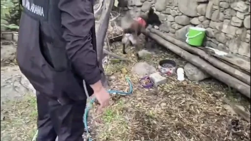 Muğla’da jandarmanın bir haftalık denetimlerinde 59 kişi yakalandı