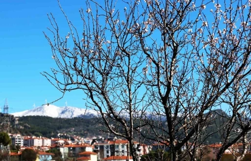 MUĞLA'DA KIŞ VE BAHAR AYNI KAREDE