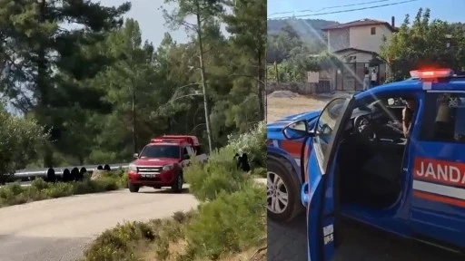 MUĞLA'DA KURUMLAR DOĞAYI KORUMAK İÇİN TEYAKKUZDA 