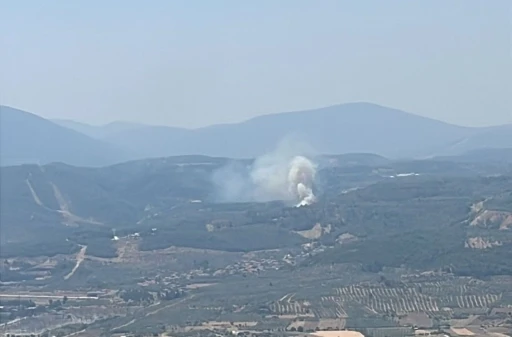 Muğla’da orman yangını
